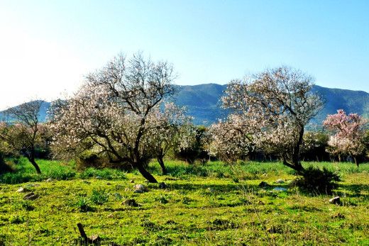 759543 (a): :2490x1660